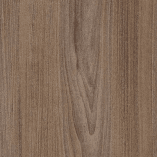 European Blackwood