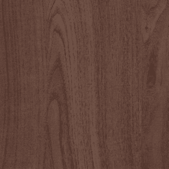 European Walnut