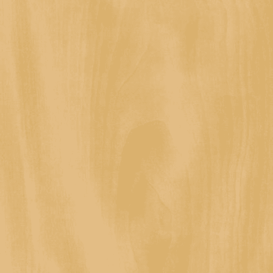 Hoop Pine